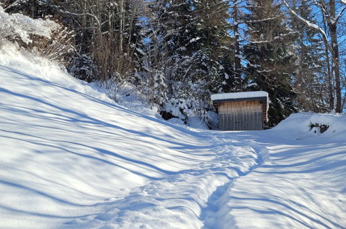 Foto 40 - Haus mit 2 Schlafzimmern in Flirsch mit garten und blick auf die berge