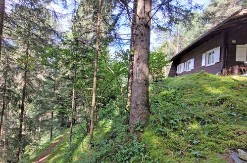 Photo 22 - 2 bedroom House in Flirsch with garden and mountain view