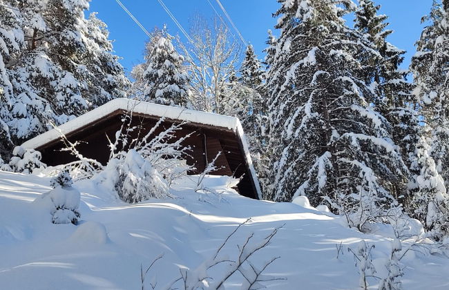 Casa de 2 quartos em Flirsch com jardim e terraço - Foto 39