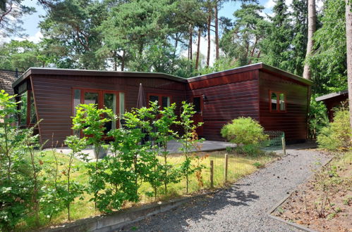 Foto 7 - Casa de 2 habitaciones en Beekbergen con piscina y jardín