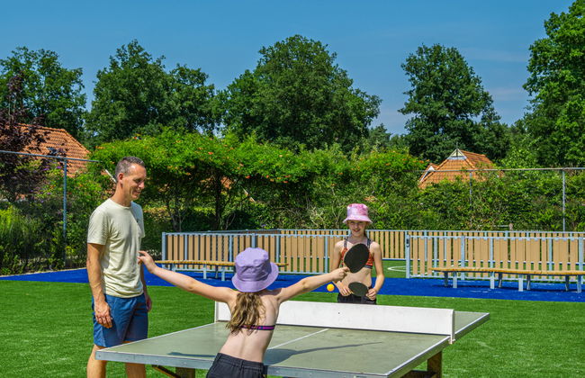 Casa de 3 quartos em IJhorst com piscina e terraço - Foto 9