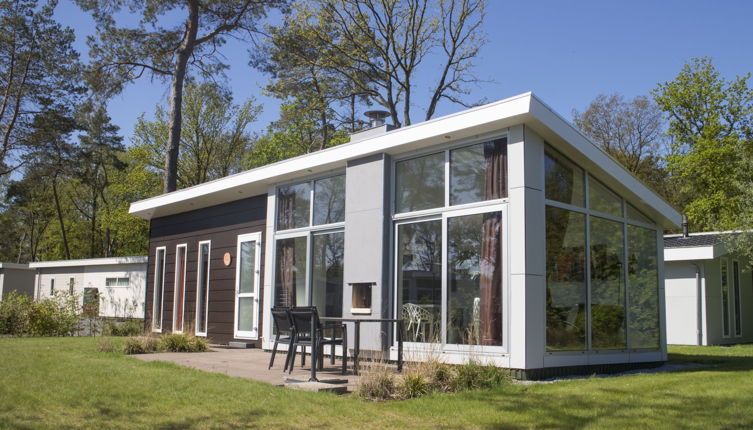 Foto 1 - Casa con 2 camere da letto a IJhorst con piscina e terrazza