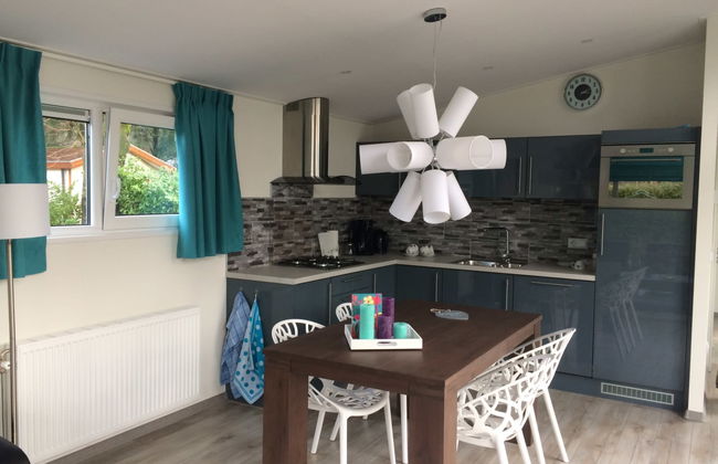 Casa de 3 quartos em IJhorst com piscina e terraço - Foto 1
