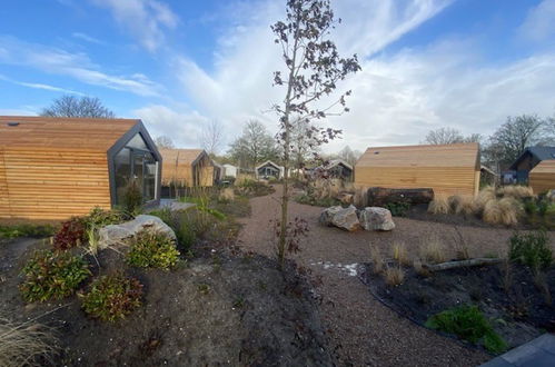 Photo 5 - Maison en Biddinghuizen avec piscine et terrasse