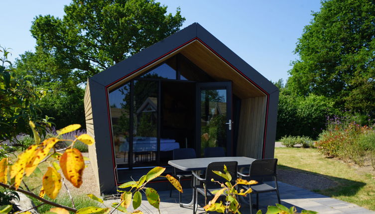 Photo 1 - Maison en Biddinghuizen avec piscine et terrasse