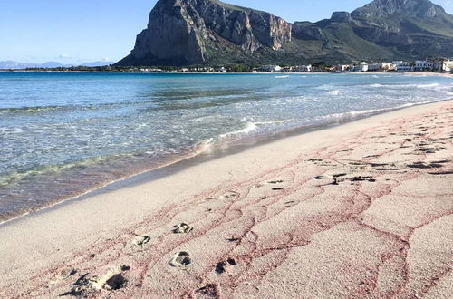 Foto 2 - Apartamento de 2 quartos em San Vito Lo Capo com terraço