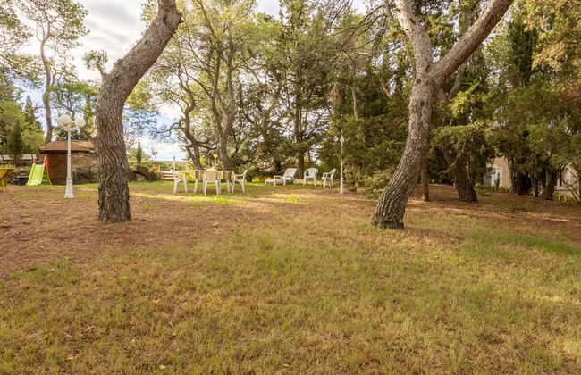 Casa de 2 quartos em Azillanet com piscina privada e jardim - Foto 5