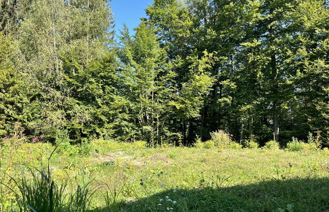 Casa de 4 quartos em Schiefling am Wörthersee com jardim e terraço - Foto 21