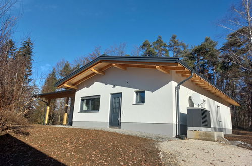 Foto 1 - Casa de 3 habitaciones en Schiefling am Wörthersee con jardín y vistas a la montaña