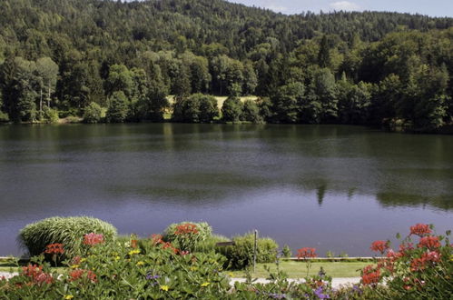 Foto 20 - Casa de 3 quartos em Schiefling am Wörthersee com jardim e vista para a montanha