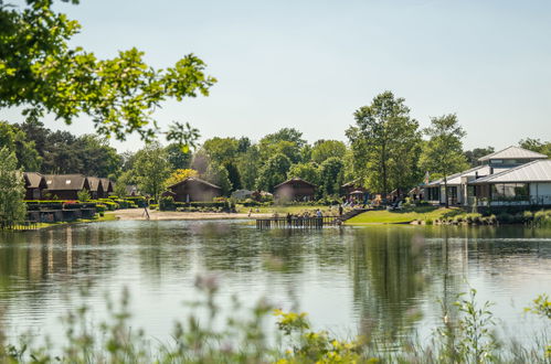 Foto 4 - Haus mit 2 Schlafzimmern in Lochem mit schwimmbad und terrasse