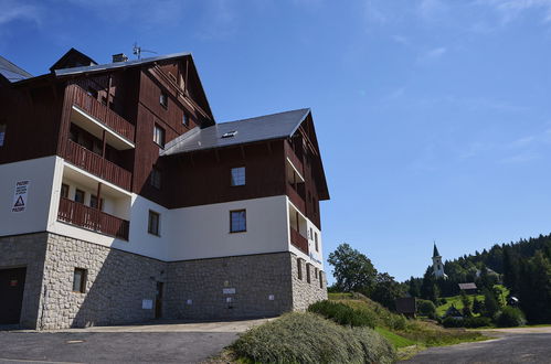 Foto 13 - Apartamento de 1 habitación en Albrechtice v Jizerských horách con vistas a la montaña