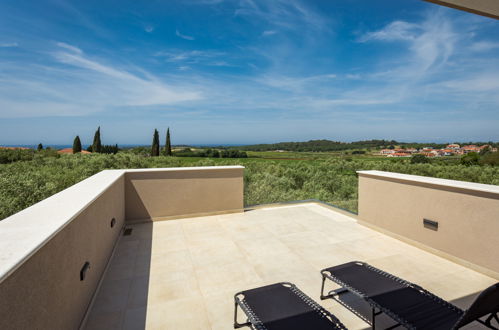 Photo 32 - Maison de 3 chambres à Novigrad avec piscine privée et jardin