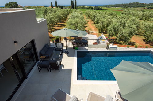 Photo 6 - Maison de 3 chambres à Novigrad avec piscine privée et jardin