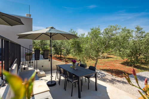 Photo 20 - Maison de 3 chambres à Novigrad avec piscine privée et jardin