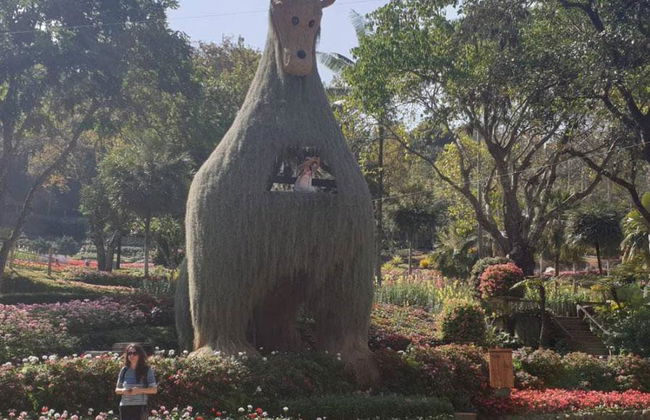 Chiang Rai Stadt Tempel Tour - Foto 2