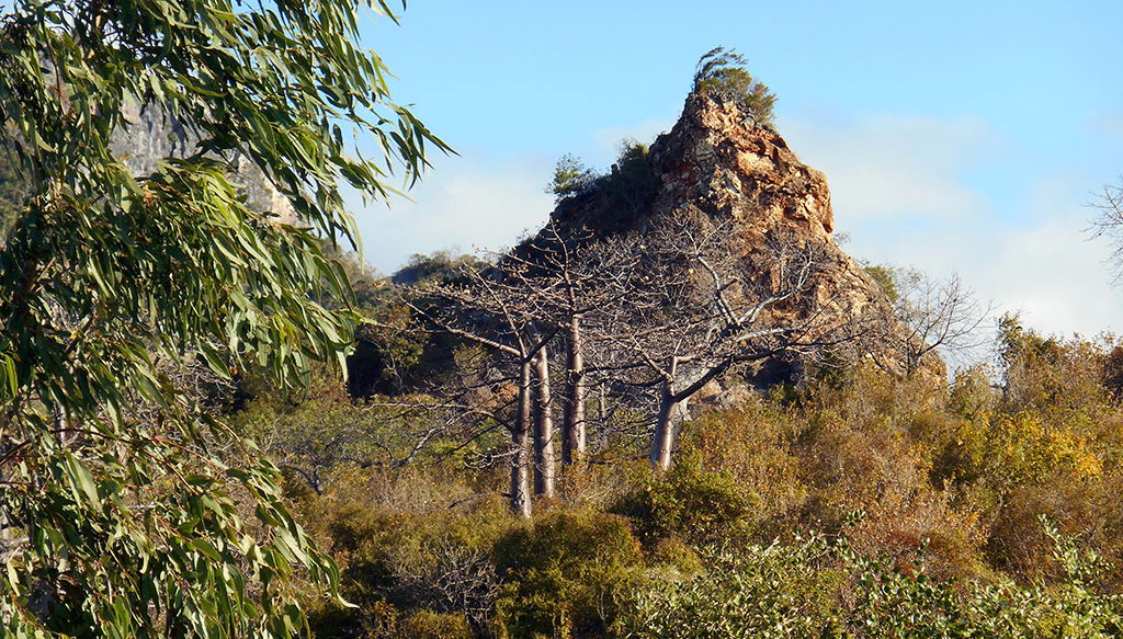 Antsiranana City Tour - Photo 1