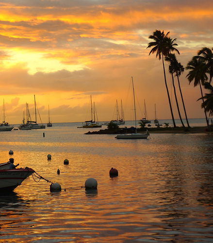 Foto de Atardecer tropical en barco