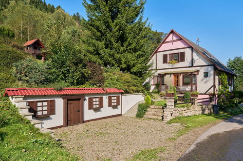 Photo 30 - Apartment in Stárkov with swimming pool and garden