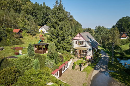 Photo 31 - Apartment in Stárkov with swimming pool and garden