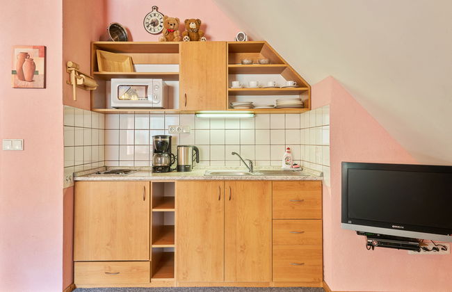 Apartamento de 1 quarto em Stárkov com piscina e jardim - Foto 8
