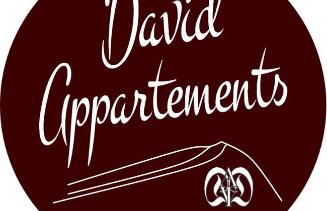 David Appartements - Foto 1