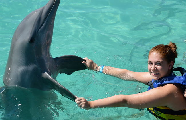 Atardecer en Negril y nado con delfines - Foto 2