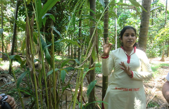Sahakari Spice Farm - Private Tour - Foto 5