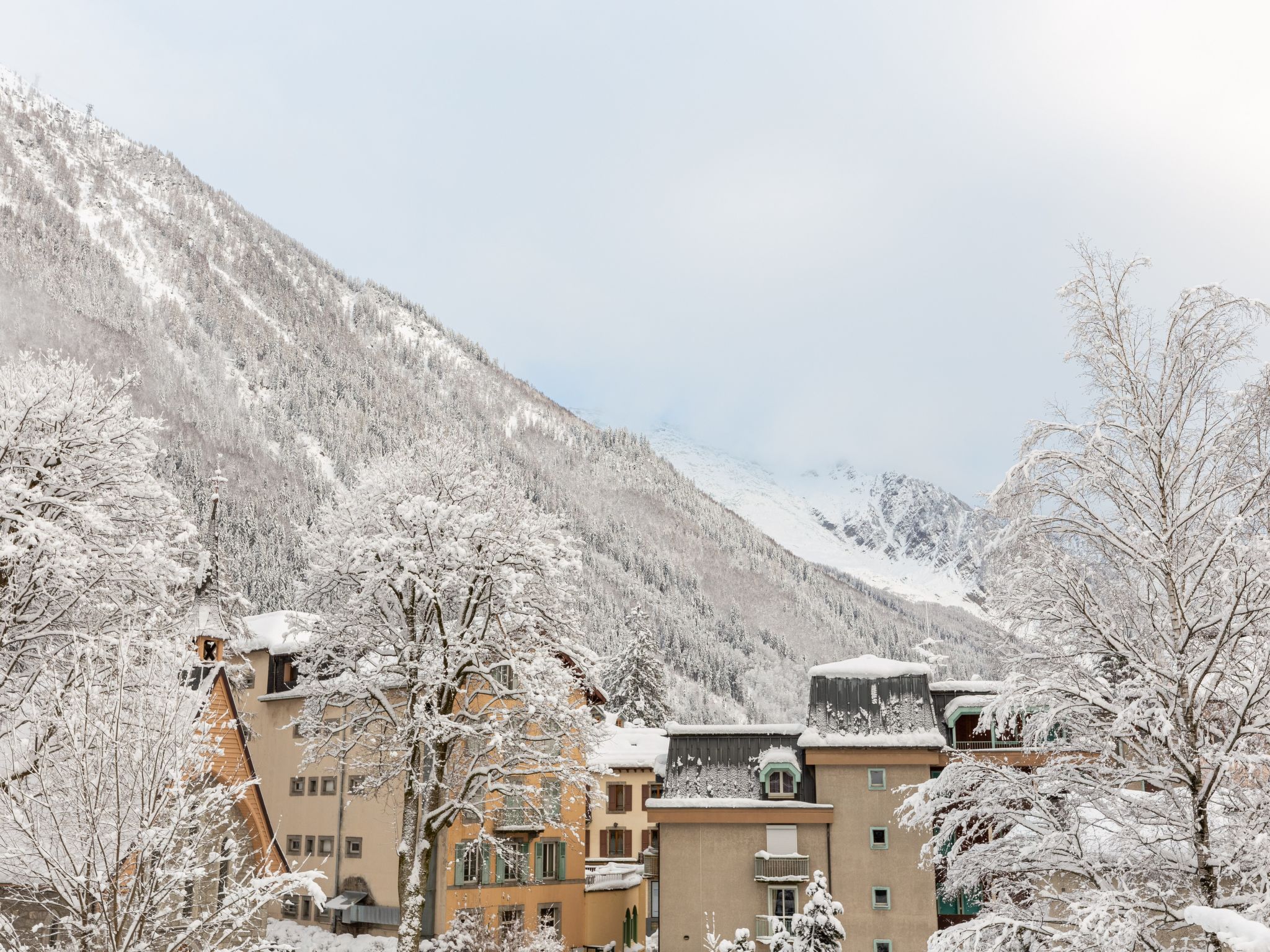 Foto 15 - Appartamento con 1 camera da letto a Chamonix-Mont-Blanc con vista sulle montagne