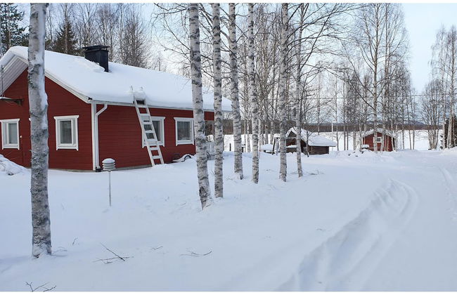 Haus mit 1 Schlafzimmer in Ylitornio mit sauna - Foto 18