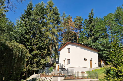 Foto 15 - Casa con 2 camere da letto a Žabovřesky con giardino e terrazza