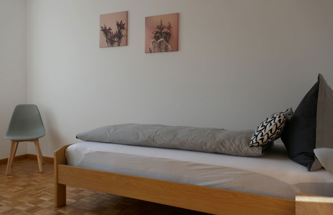 Casa de 3 quartos em Blenio com jardim e terraço - Foto 13