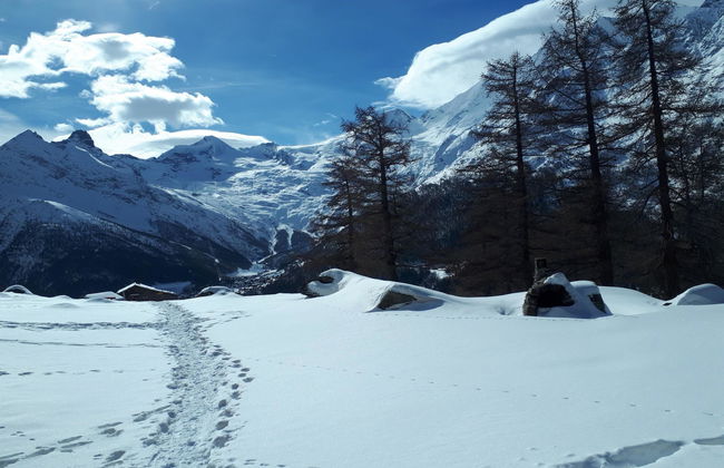 Apartamento de 3 quartos em Saas-Grund - Foto 26
