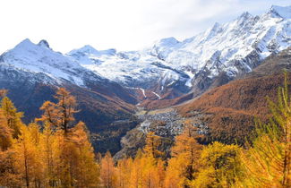 Photo 1 - 1 bedroom Apartment in Saas-Grund with garden