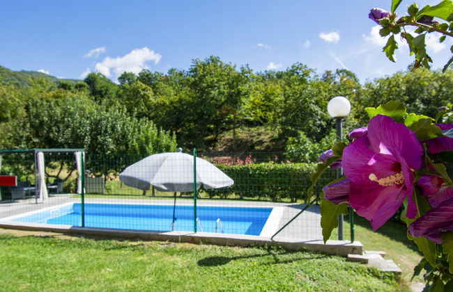 5 bedroom House in Villa Collemandina with private pool and garden - Photo 19