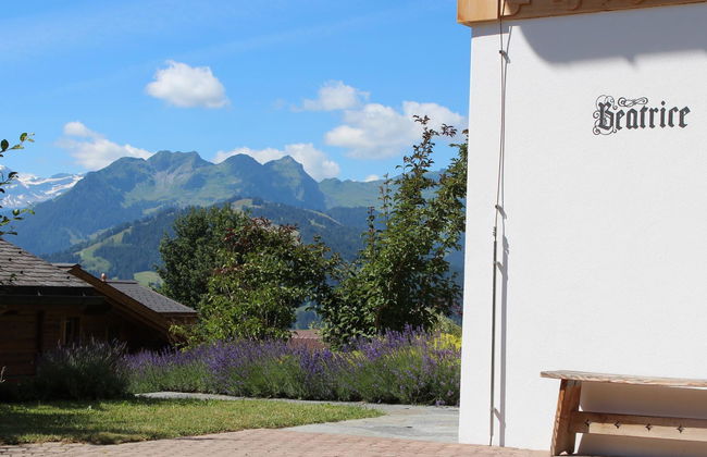 Apartamento de 4 quartos em Saanen - Foto 10