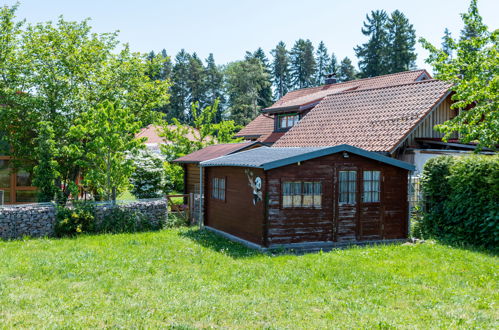 Foto 28 - Casa con 2 camere da letto a Löffingen con giardino e vista sulle montagne