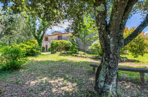 Foto 67 - Casa de 4 quartos em Siena com piscina privada e jardim