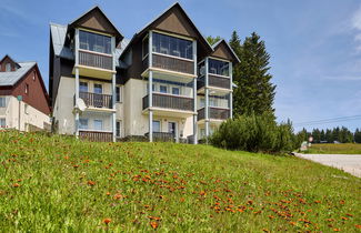 Foto 23 - Appartamento a Vítkovice