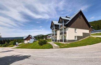 Foto 27 - Appartamento a Vítkovice