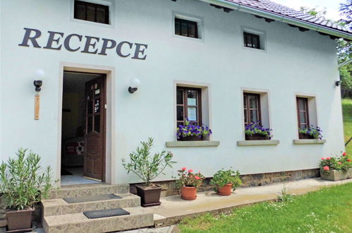 Photo 58 - Maison de 3 chambres à Stárkov avec piscine et jardin