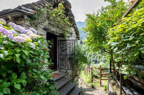 Photo 21 - Maison de 1 chambre à Bognanco avec jardin et vues sur la montagne