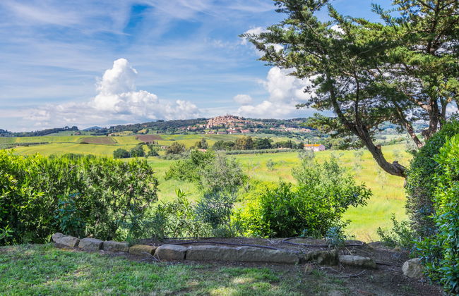 Maison de 3 chambres à Bibbona avec jardin et terrasse - Photo 48