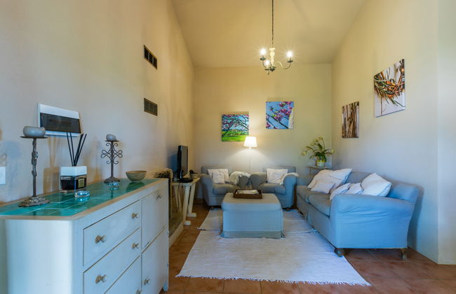 Maison de 3 chambres à Bibbona avec jardin et terrasse - Photo 10