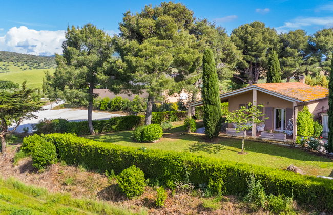 Maison de 3 chambres à Bibbona avec jardin et terrasse - Photo 56