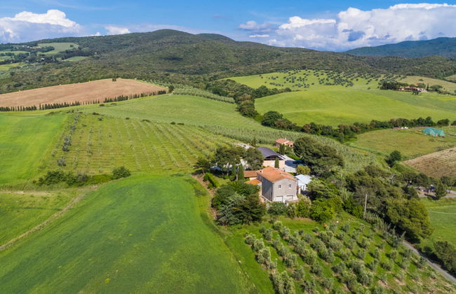 Maison de 3 chambres à Bibbona avec jardin et terrasse - Photo 55