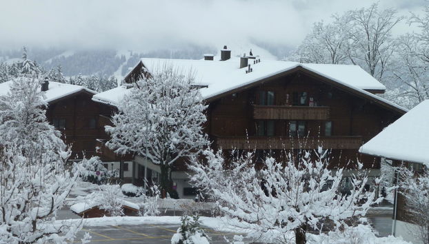 Apartamento de 2 quartos em Saanen - Foto 5