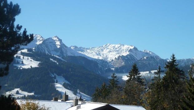 Apartamento de 2 quartos em Saanen - Foto 4