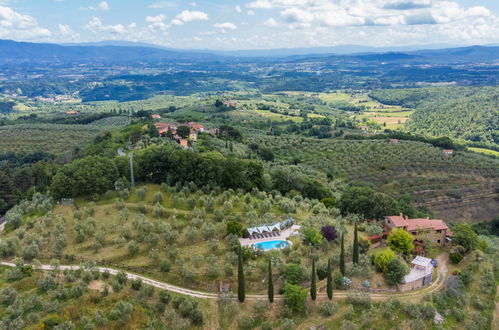 Foto 71 - Casa con 3 camere da letto a Montevarchi con piscina privata e giardino