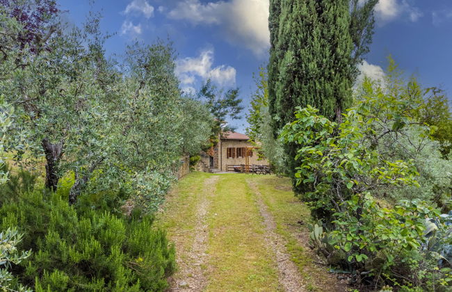 Haus mit 4 Schlafzimmern in Montevarchi mit privater pool und garten - Foto 70